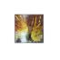 Textured floral wall art with bright yellow petals and brown background – framed modern artwork.